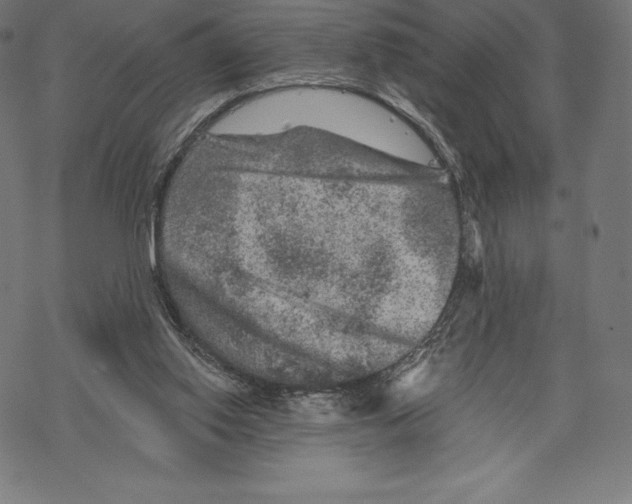 X0000067860062200605111744