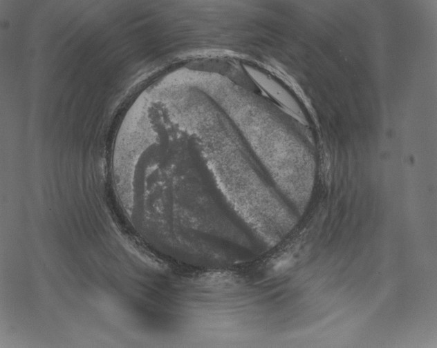 X0000067860063200605111744