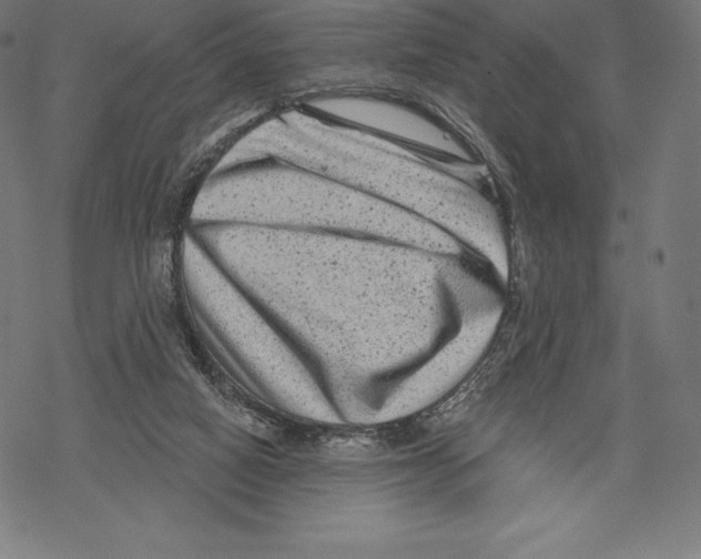 X0000067860066200605111744