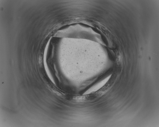 X0000067860084200605111745