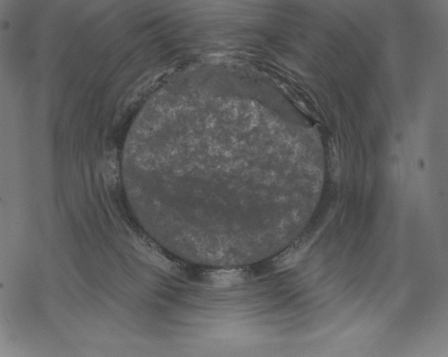 X0000067860085200605111745