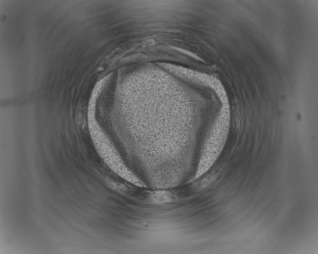 X0000067860091200605111745