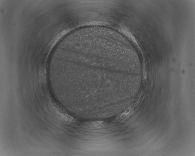 X0000067860108200605111744