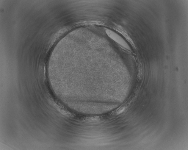 X0000067860110200605111744