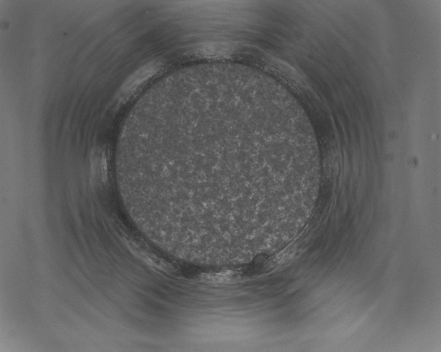 X0000067860120200605111744