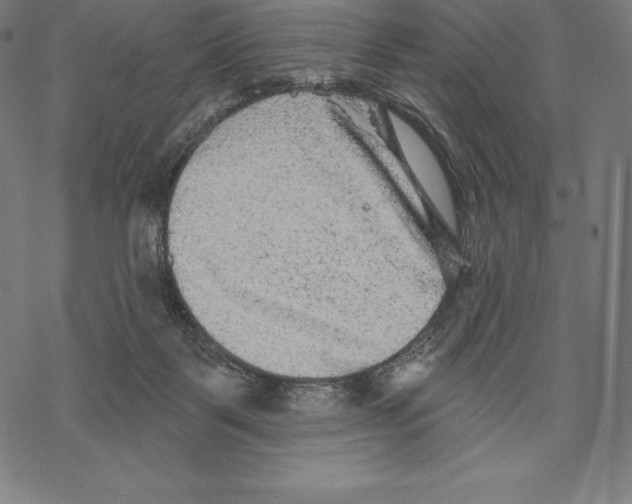 X0000067860123200605111744