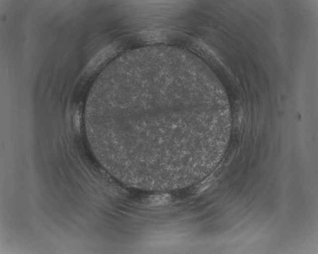 X0000067860124200605111744