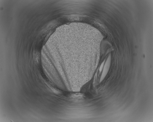X0000067860125200605111744
