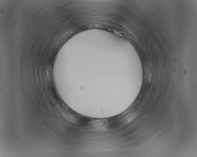 X0000067860126200605111744