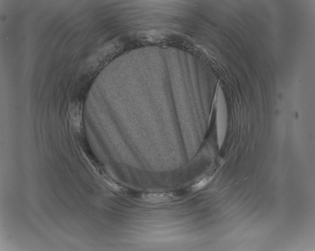 X0000067860129200605111744