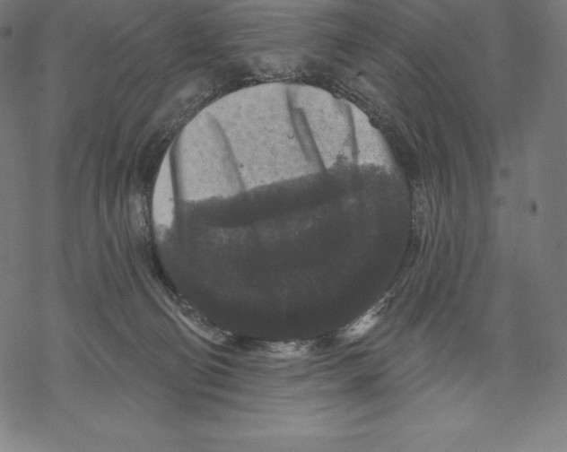 X0000067860130200605111744