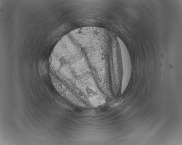 X0000067860131200605111744