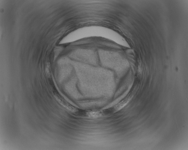 X0000067860141200605111743