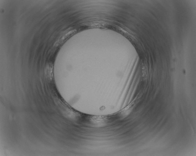 X0000067860142200605111743