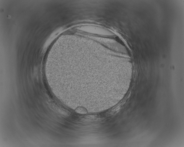 X0000067860151200605111743
