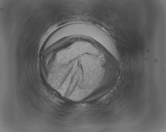 X0000067860152200605111743