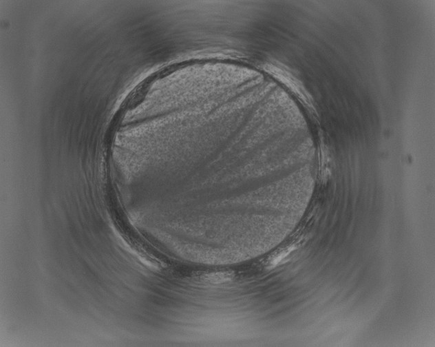 X0000067860156200605111743