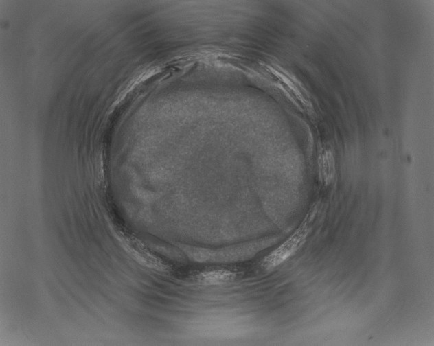 X0000067860158200605111743
