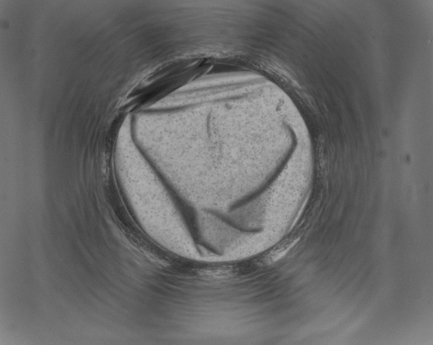 X0000067860164200605111743
