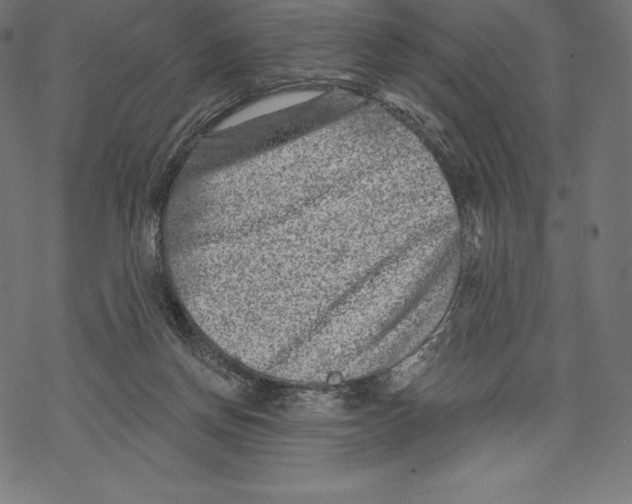 X0000067860166200605111743