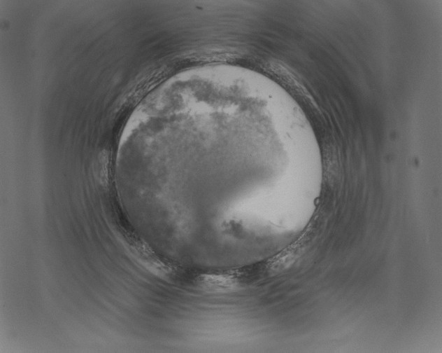 X0000067860167200605111743