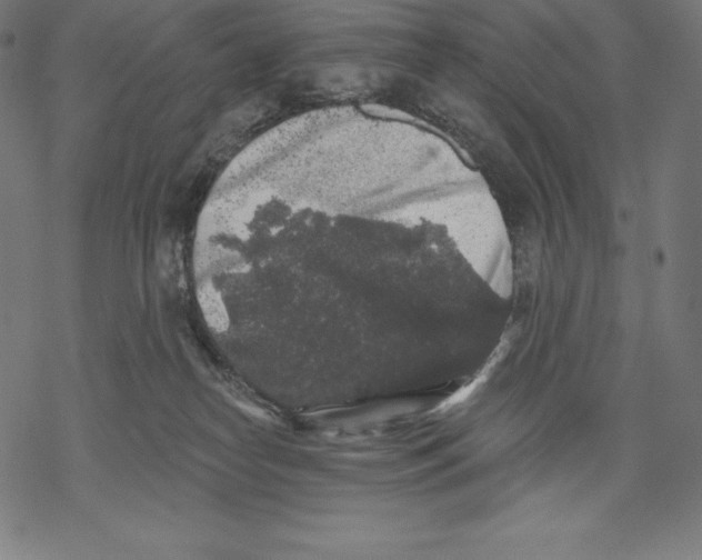 X0000067860182200605111743