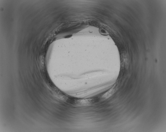 X0000067860184200605111743