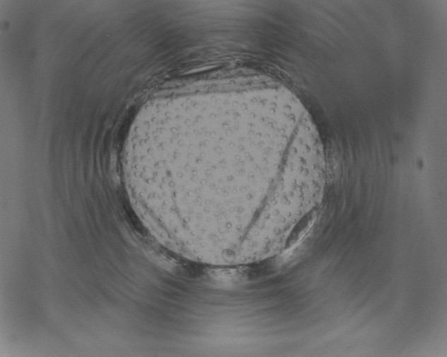 X0000067860187200605111743