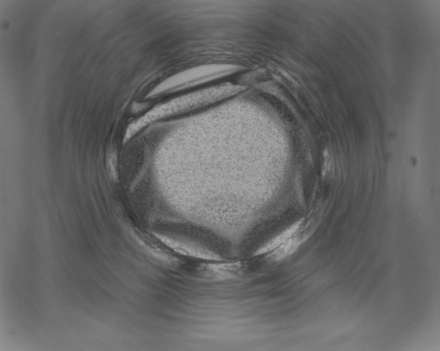 X0000067860188200605111743