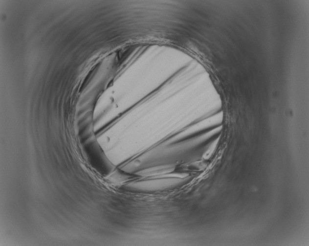 X0000067860193200605111743