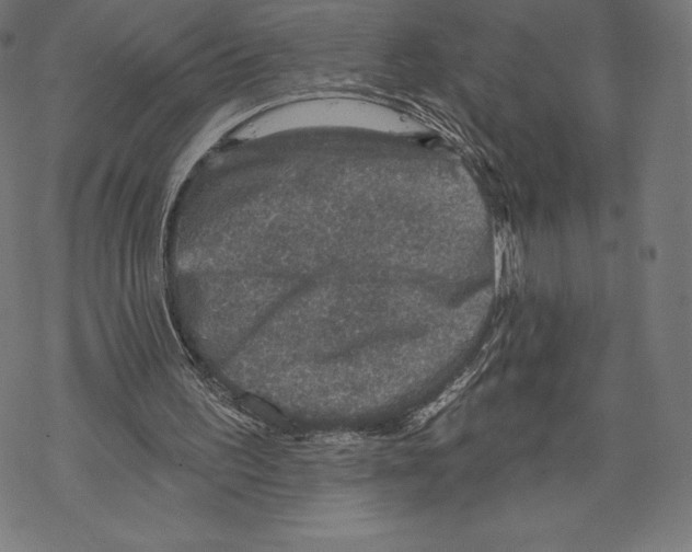 X0000067860195200605111742