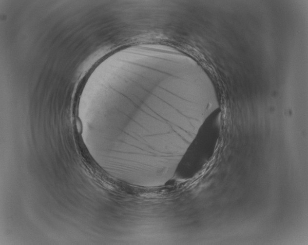 X0000067860196200605111742