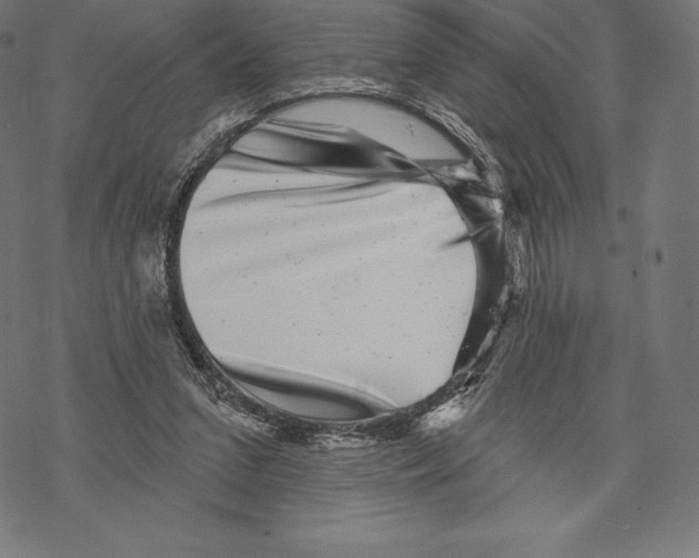X0000067860207200605111742