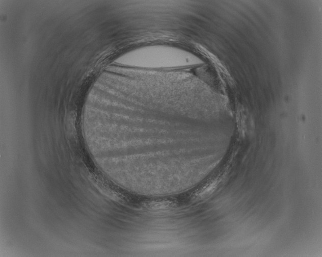 X0000067860209200605111742