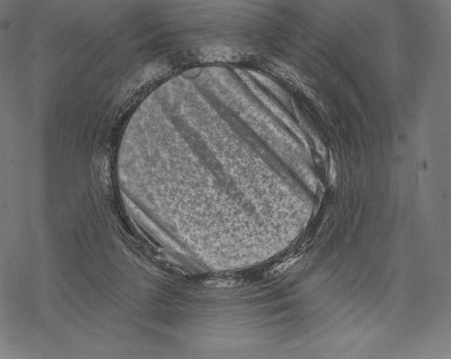 X0000067860211200605111742