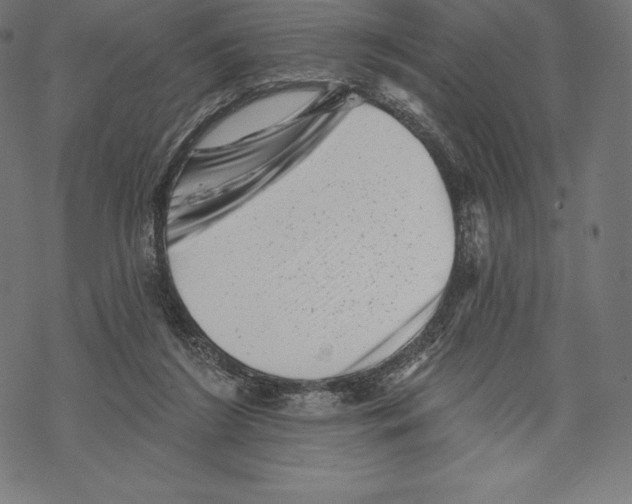 X0000067860212200605111742