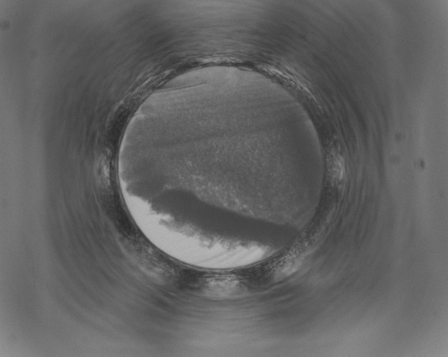 X0000067860214200605111742