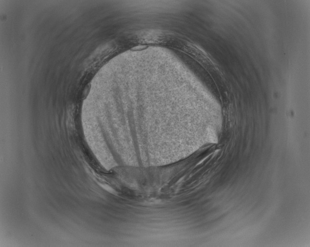 X0000067860217200605111742