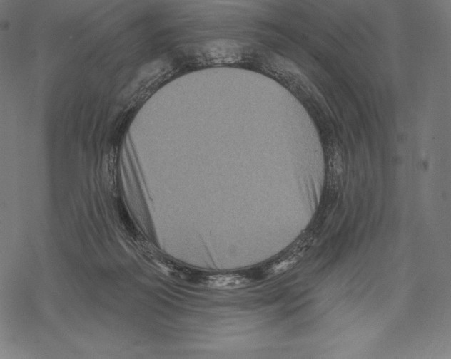 X0000067860218200605111742