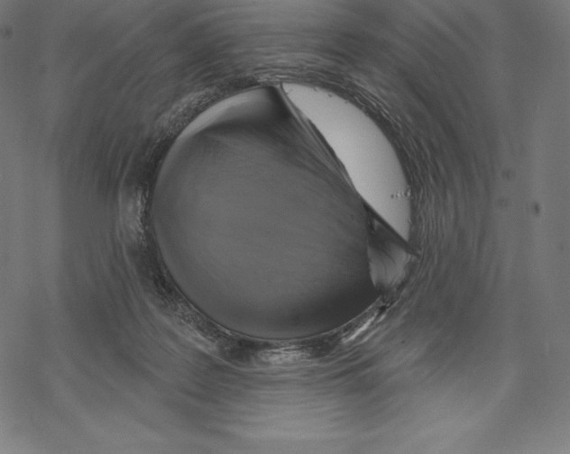 X0000067860219200605111742