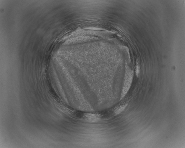X0000067860221200605111742
