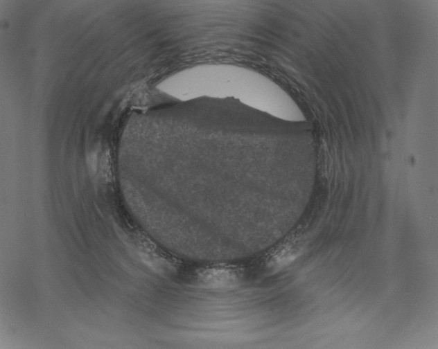 X0000067860224200605111742