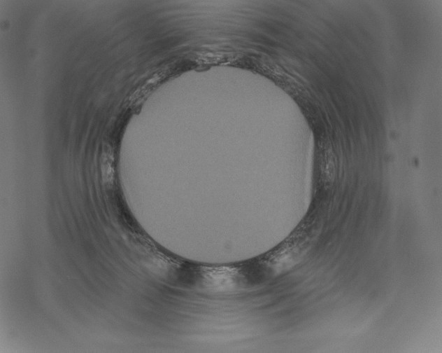 X0000067860226200605111742