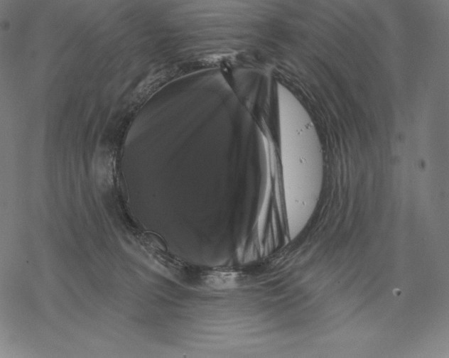 X0000067860227200605111742
