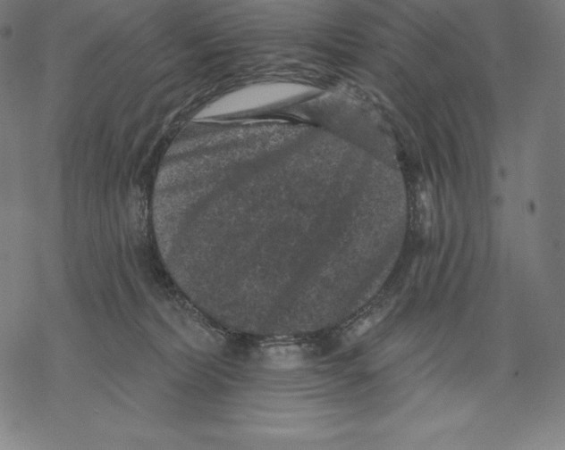 X0000067860228200605111742