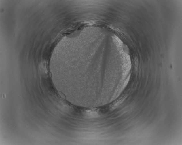 X0000067860232200605111742