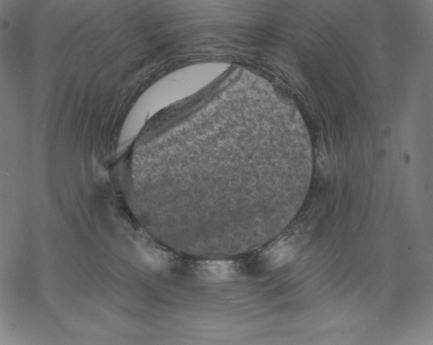 X0000067860233200605111742