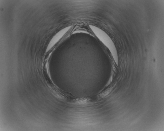 X0000067860235200605111742