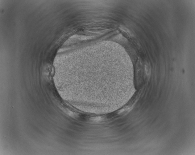 X0000067860237200605111742