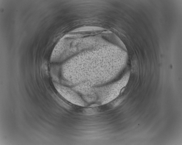 X0000067860238200605111742